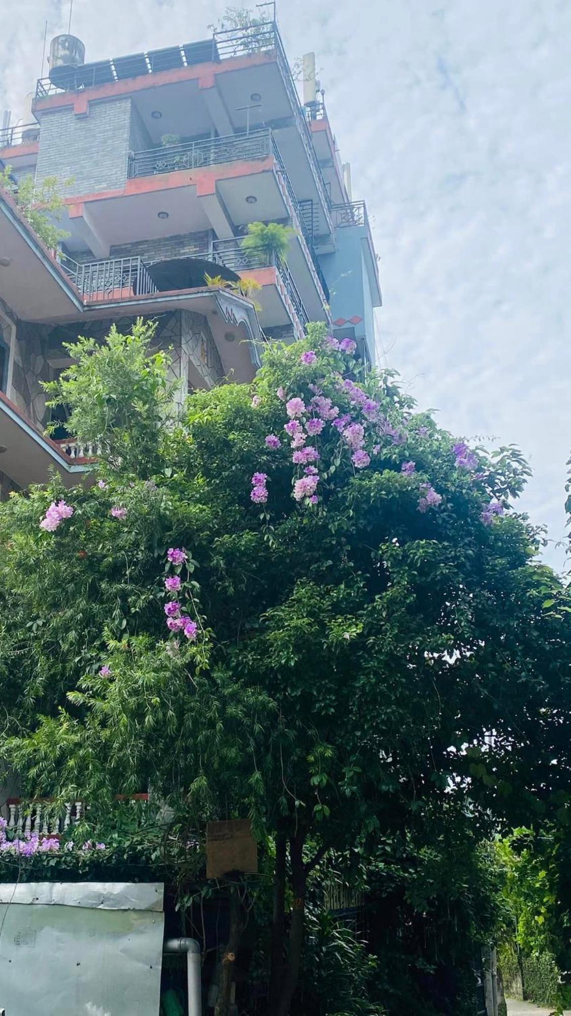 Hotel River Park Pokhara Kültér fotó